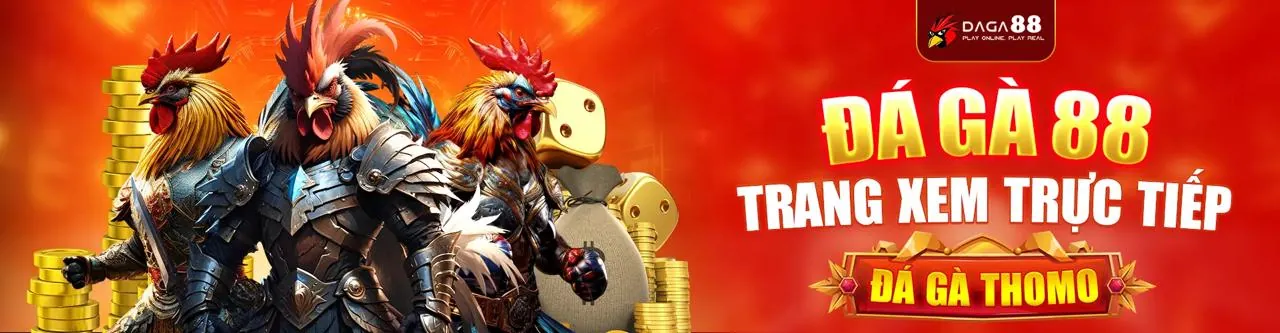 Sân đấu đá gà trực tuyến VN88UP