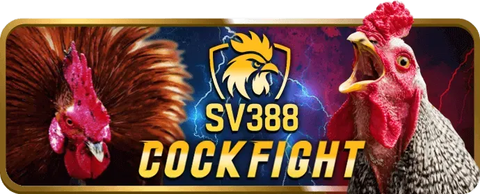 Ưu đãi VIP VN88UP